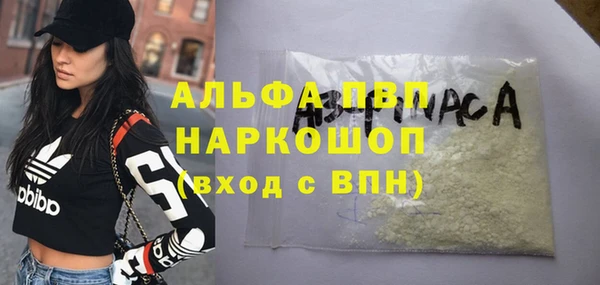 Альфа ПВП Ладушкин