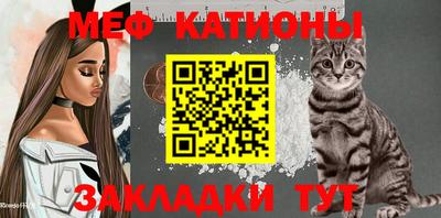 индика Гагарин