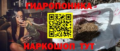 индика Гагарин