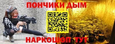 индика Гагарин