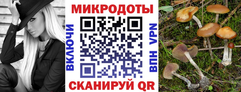 Псилоцибиновые грибы прущие грибы  Новоуральск 