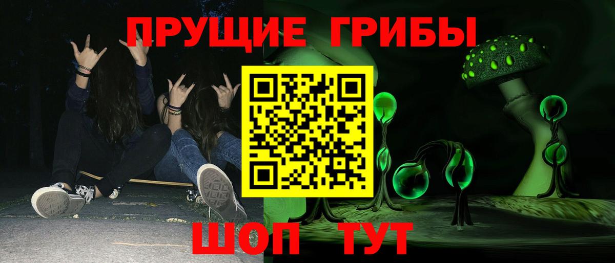 Псилоцибиновые грибы Psilocybine cubensis  Новоуральск 